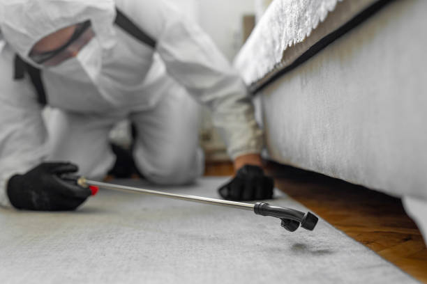 Professional Bed Bug Control technician working in Concordia Parish County, LA